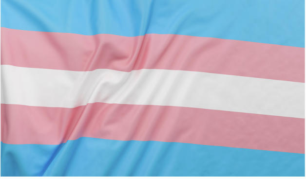 Trans Day of Remembrance