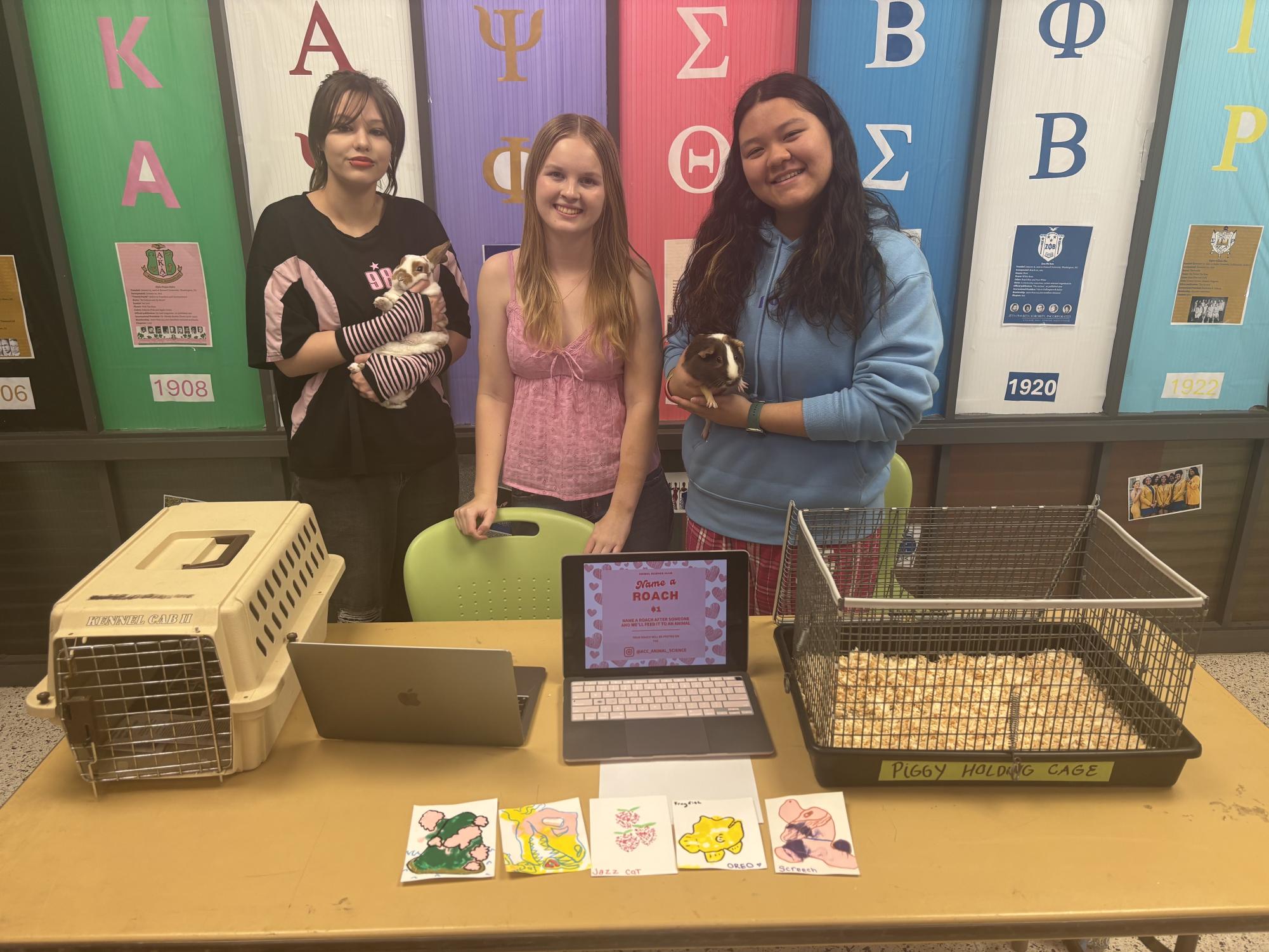 Sweet Treats at the Valentine's Day Bazaar