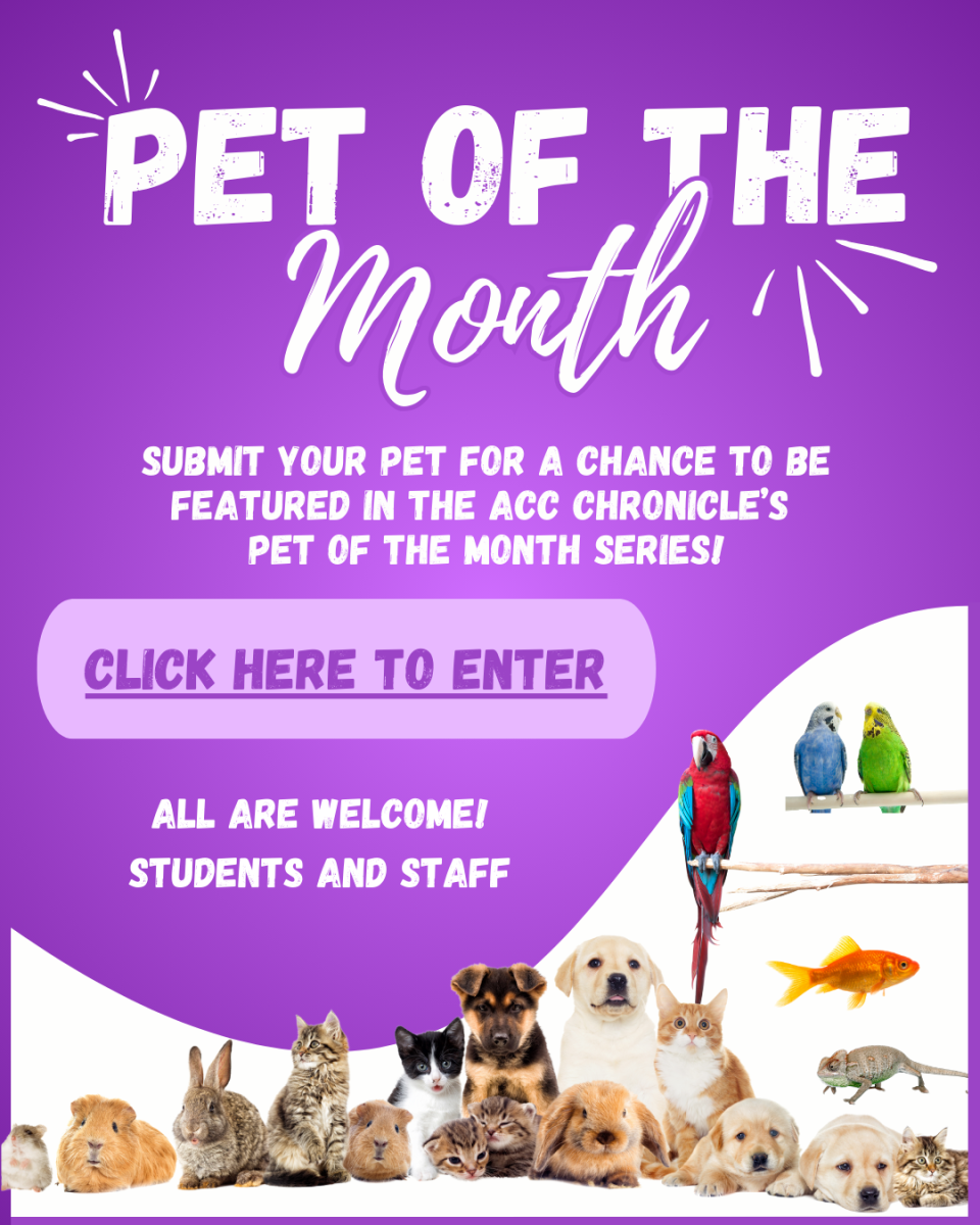 Pet of the Month