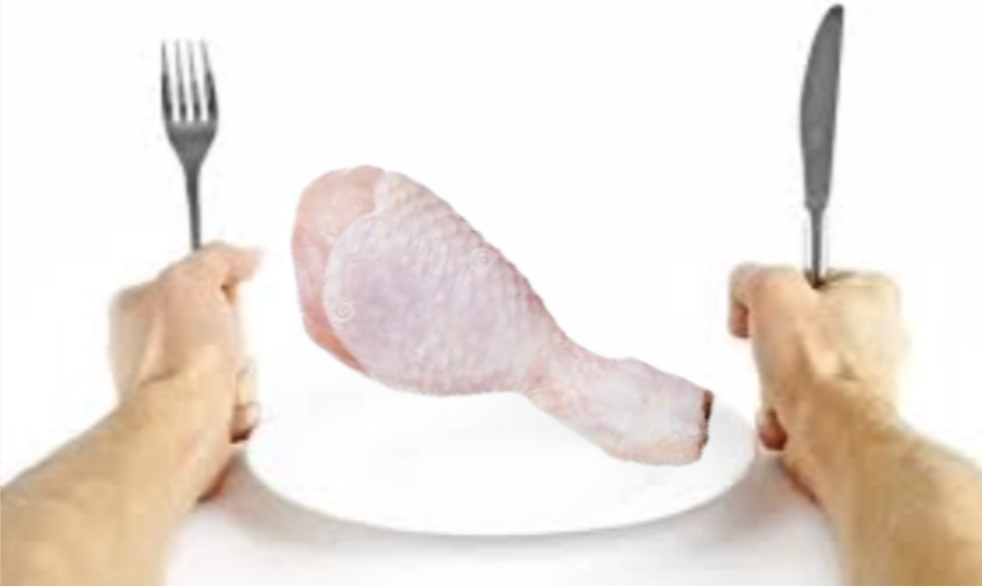 The End of an Salmonera: Why I No Longer Eat Raw Chicken