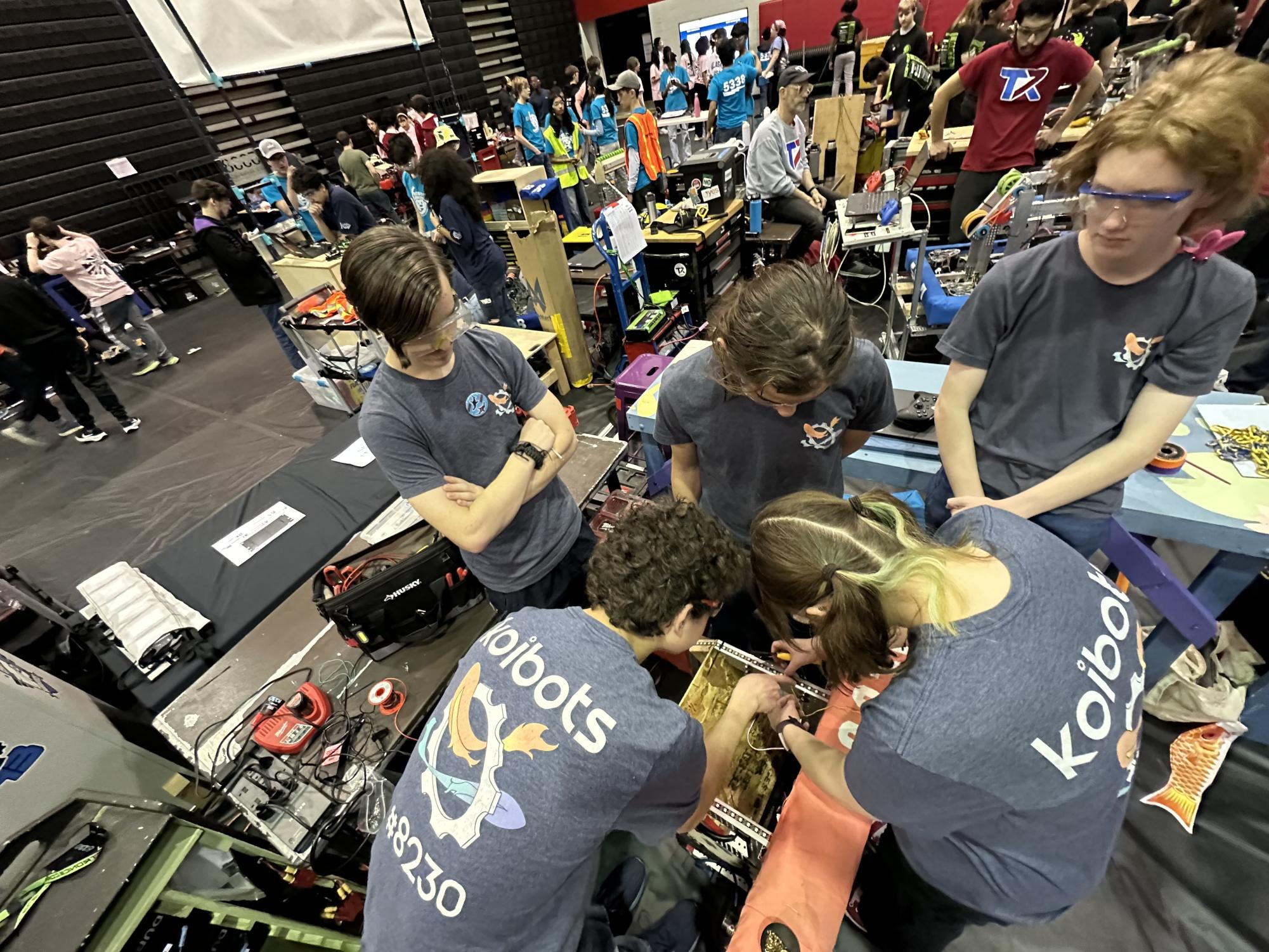 Hopping and Robotting to Bunnybots