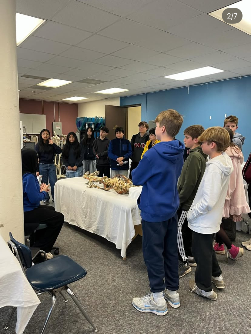 8th Grade Tours: ACC's Last Lap