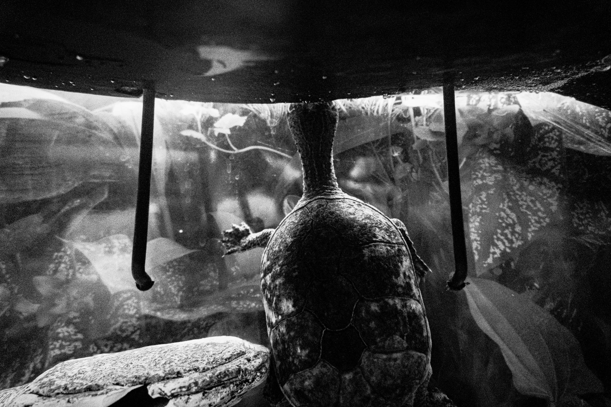 Photography II Black and White Pictures