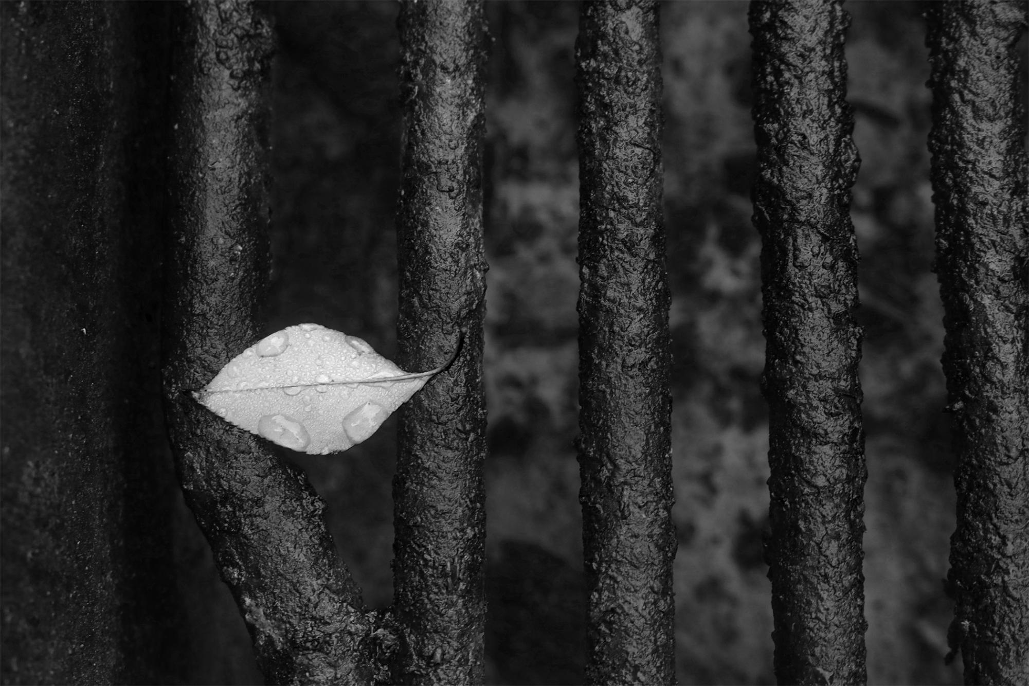 Photography II Black and White Pictures