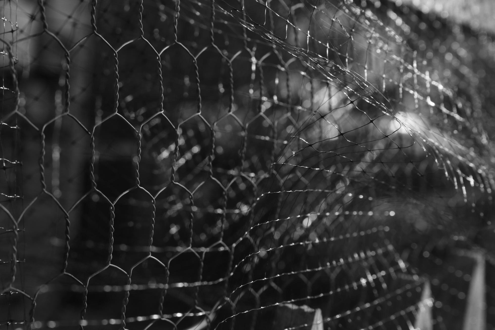 Photography II Black and White Pictures
