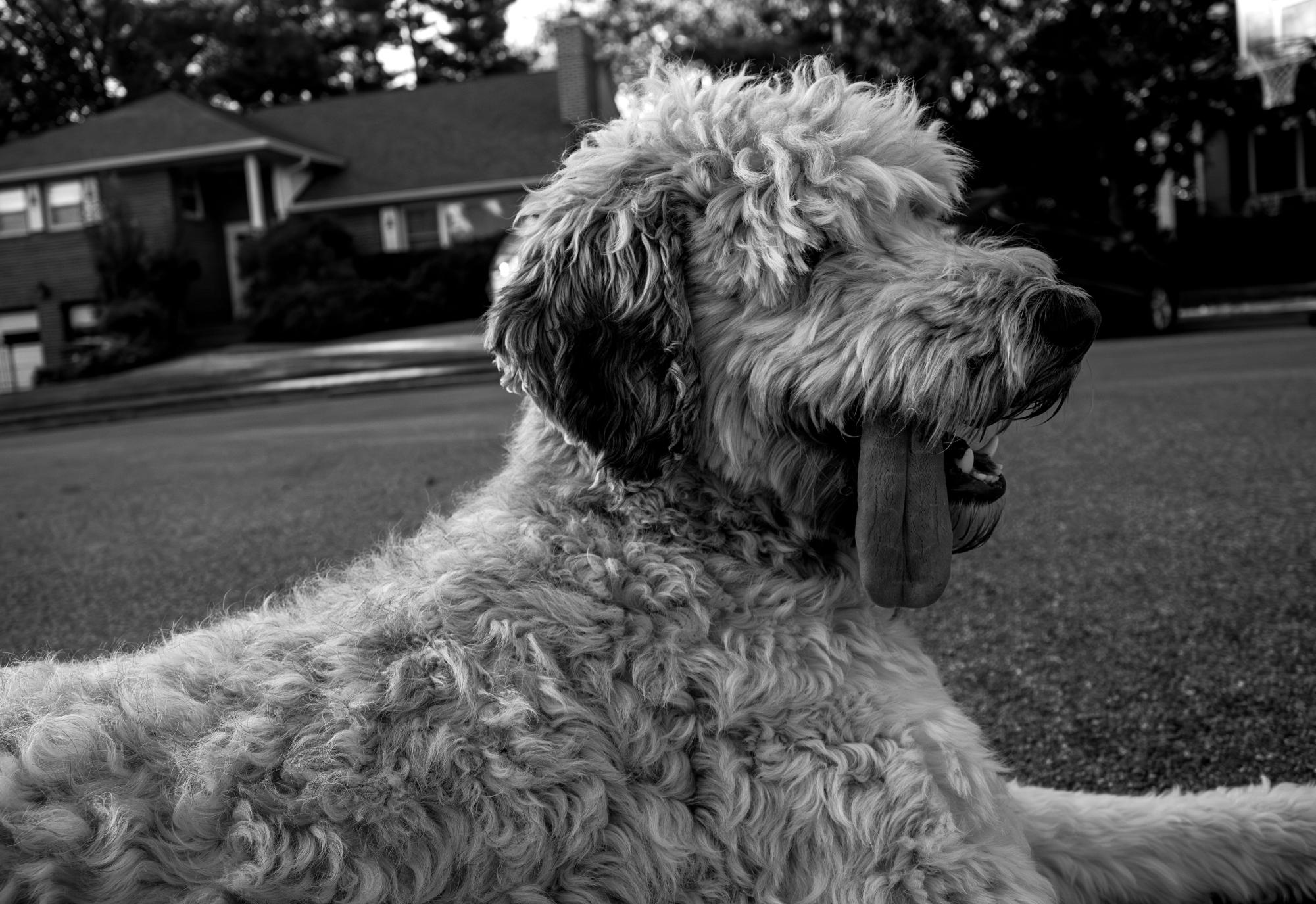 Photography II Black and White Pictures