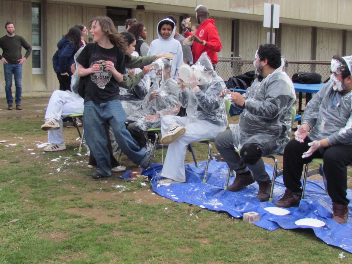 Pi Day: Organized Chaos