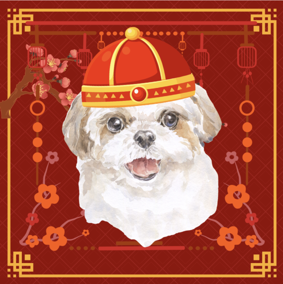 The History of Shih Tzus