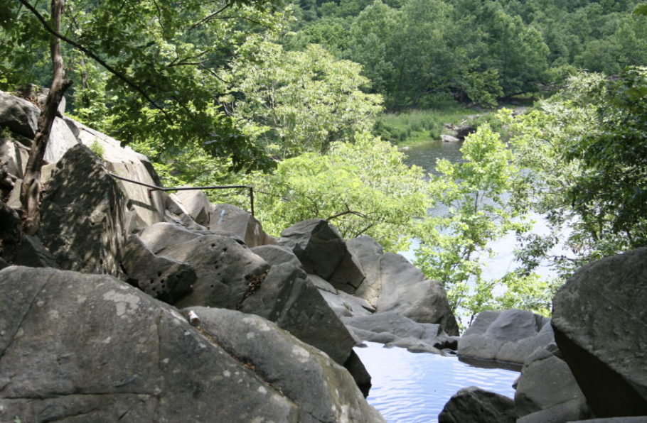 You NEED to Go to Your Local Nature Center