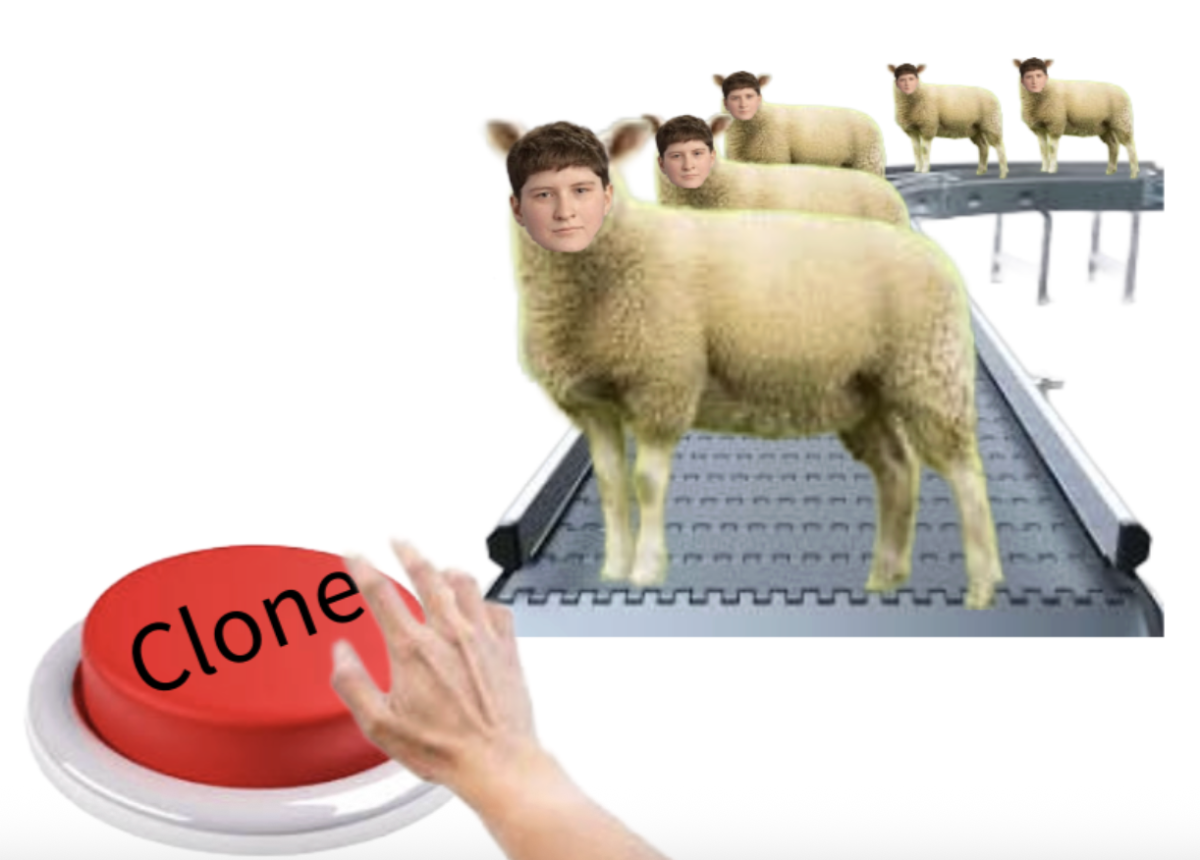 Average day in the clone factory