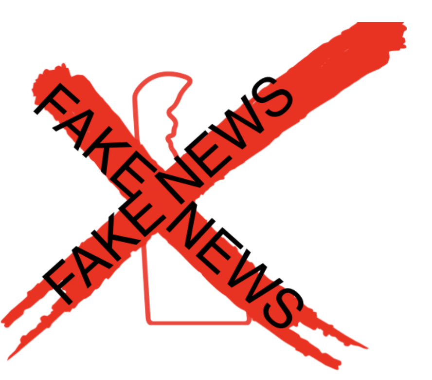 DELAWARE: The Fake State